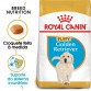 Royal Canin Golden Retriever Puppy 12kg